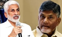 హెరాల్డ్ సెటైర్ : పూర్తిగా ఇరుక్కుపోయిన చంద్రబాబు.. వైసిపి ఎంపి దెబ్బ గట్టిగా పడిందే